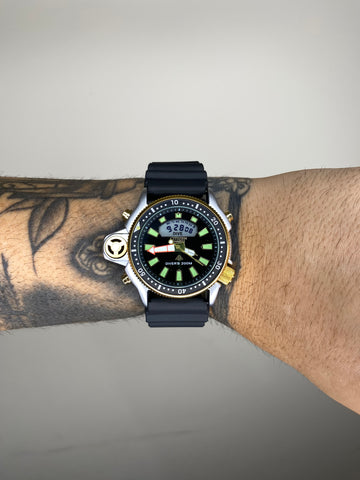 CITIZEN AQUALAND PRATA